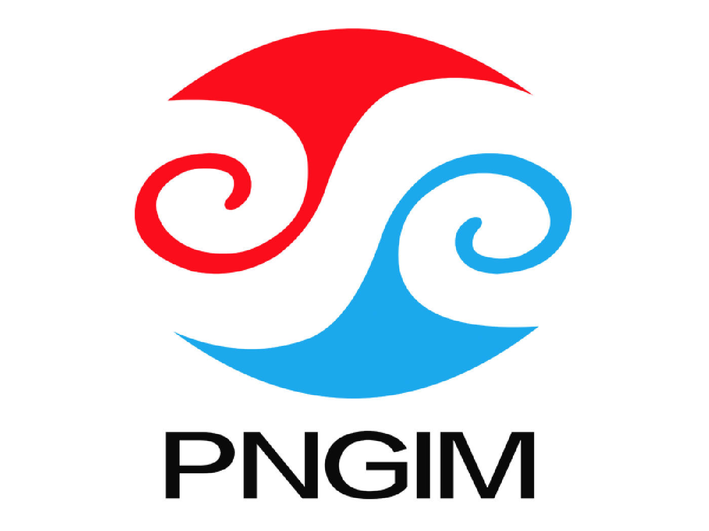 PNGIM Logo